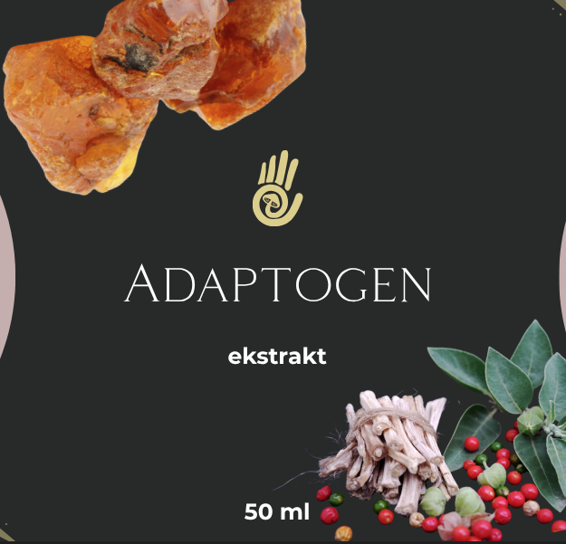 adaptogen mykokit