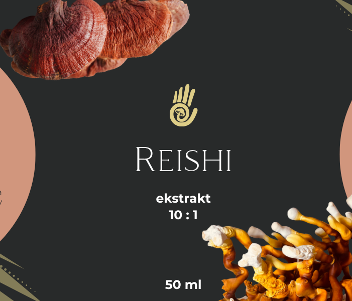 reishi mykokit